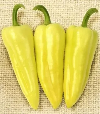 Насіння перцю Призма F1, п.о. 500 насінин (NongWoo Bio)