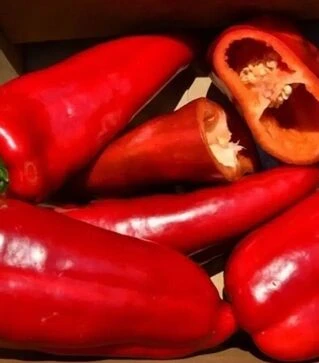 Семена перца Рафаэла F1, п.е. 1 тыс. семян (Semo)