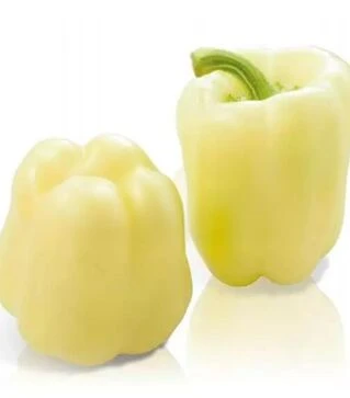 Насіння перцю Салана F1, п.о. 500 насінин (Sakata)