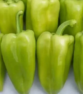 Насіння перцю Топгір F1, п.о. 1 тис. насінин (Rijk Zwaan)