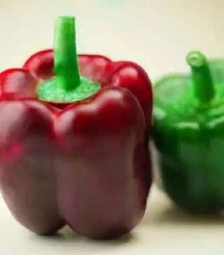 Семена перца Халк F1, п.е. 1 тыс. семян (Sakata)