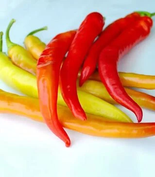 Насіння перцю ES 8716 F1, п.о. 250 насінин (Ergon)