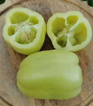 Насіння перцю Хелікон F1, п.о. 1 тис. насінин (Innova Seeds)