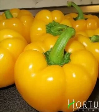 Семена перца Топепо Йеллоу, 500 г (Hortus)