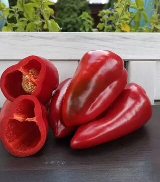 Семена перца Феррары F1, п.е. 500 семян (Sakata)