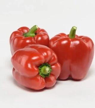 Семена перца Чайка F1, п.е. 1 тыс. семян (Bejo)