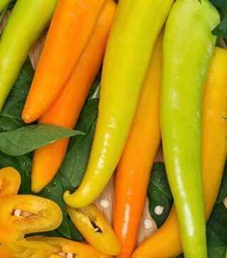 Семена перца Харвей, 25 г (Moravoseed)