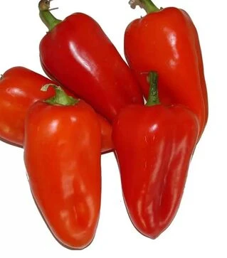 Семена перца Кирилл F1, 20 г (Ницcса)