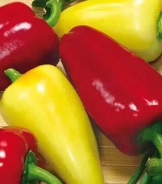 Семена перца Айвенго, п.е. 10 тыс. семян (Nasko)