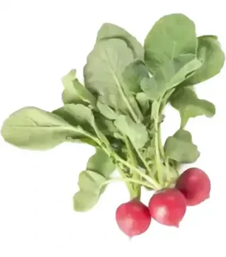 Семена редиса Белсей F1, п.е. 25 тыс. семян, 2,5-2,75 калибр (Rijk Zwaan)