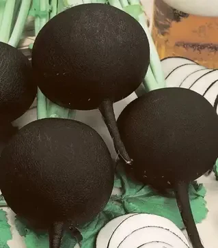 Семена редиса Кулата, 1 кг (Moravoseed)