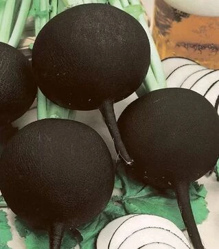 Насіння редису Чорна кулата, 1 кг (Semo)