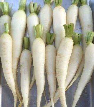 Насіння редису Рампоуч, 1 кг (Semo)