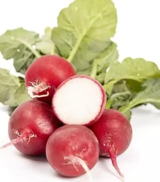 Семена редиса Бодиам F1, п.е. 25 тыс. семян, 2,75-3,5 калибр (Rijk Zwaan)