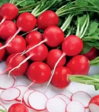 Семена редиса Ролекс F1, п.е. 10 тыс. семян, 2,25-2,5 калибр (Bejo)