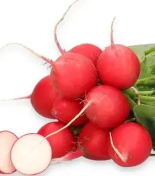 Насіння редису Мілом F1, п.о. 25 тис. насінин, 3,0-3,25 калібр (Rijk Zwaan)