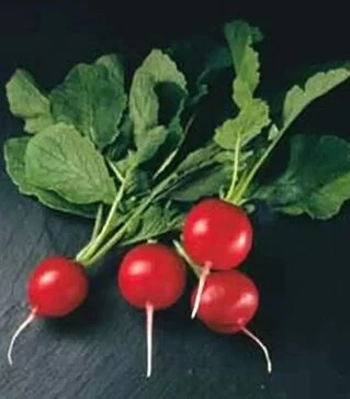 Насіння редису Кранч Роял F1, п.о. 10 тис. насінин (Sakata)