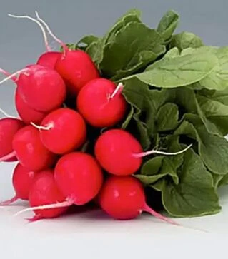 Насіння редису Мондіал F1, п.о. 25 тис. насінин, 2,75-3,0 калібр (Rijk Zwaan)