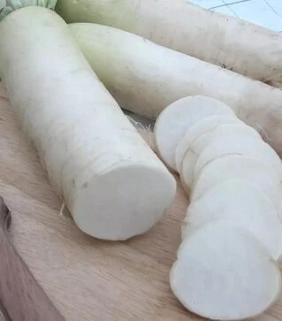 Семена редьки Алабастер F1, 1 кг (Moravoseed)