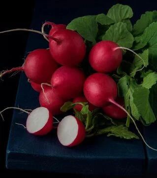 Семена редиса Виенна F1, 250 г (Enza Zaden)