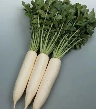 Семена редьки Сноубьорд F1, п.е. 10 тыс. семян (Sakata)