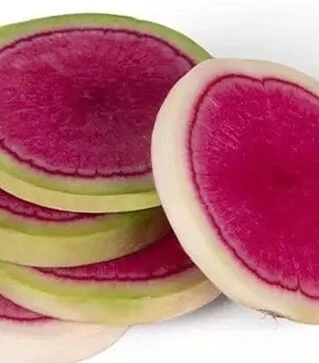 Семена редьки Мисато Роуз Флеш, п.е. 10 тыс. семян (Sakata)