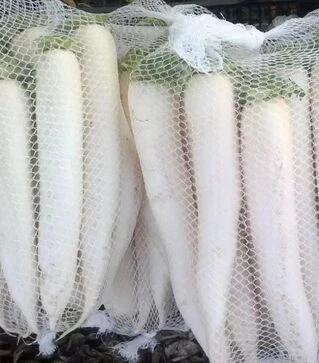 Семена редьки Япана F1, 50 г (Semo)