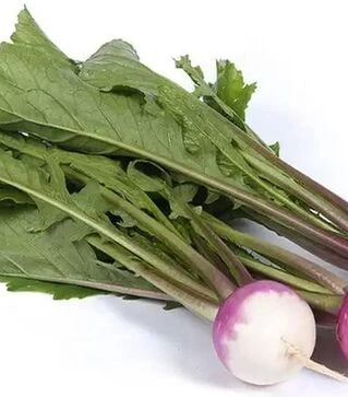 Семена репы Свитбелл F1, п.е. 10 тыс. семян (Sakata)