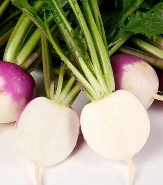 Насіння ріпи Світбелл F1, п.о. 50 тис. насінин (Sakata)