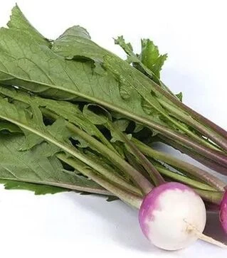 Насіння ріпи Світбелл F1, п.о. 50 тис. насінин (Sakata)