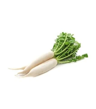 Семена редьки Эверест F1, 100 г (Takii Seeds)