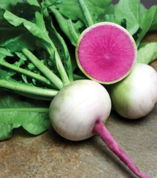 Семена редьки Мисато Роуз Флеш, п.о. 500 семян (Sakata)