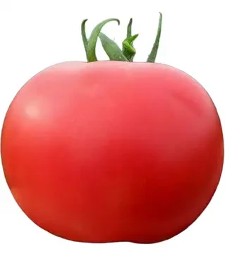 Семена томата Пинк Буш F1, п.е. 500 семян (Sakata)