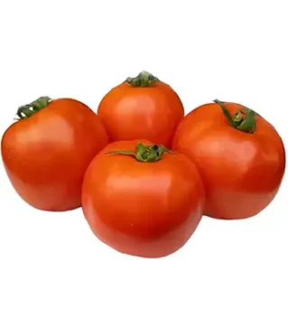 Семена томата Таня F1, п.е. 1 тыс. семян (Seminis)