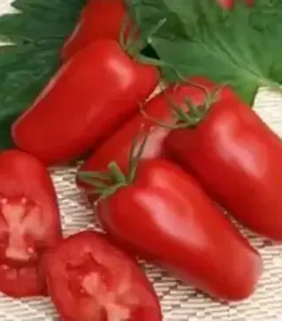 Насіння томату Рева F1, п.о. 250 насінин (Hazera)