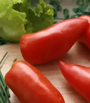 Насіння томату Сан Марцано, 500 г (Коуел)