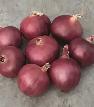 Семена томата Ред Булл F1, п.е. 250 тыс. семян (Solare Sementi)