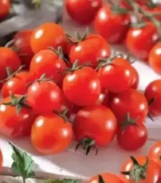 Семена томата Идил, 1 кг (Moravoseed)