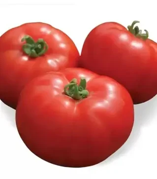 Семена томата Йолнар F1, п.е. 1 тыс. семян (Clause)