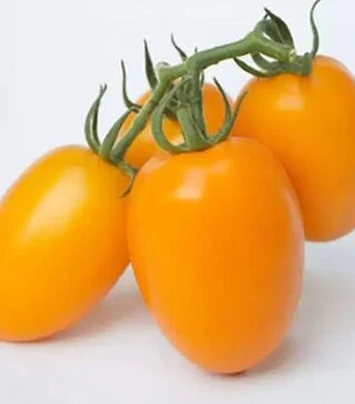 Семена томата КС 1430 F1, п.е. 500 семян (Kitano Seeds)