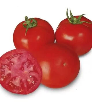 Семена томата 1609 F1, п.е. 250 семян (Spark Seeds)