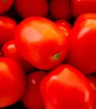 Насіння томату Албароссо F1, п.о. 1 тис. насінин (Cora Seeds)