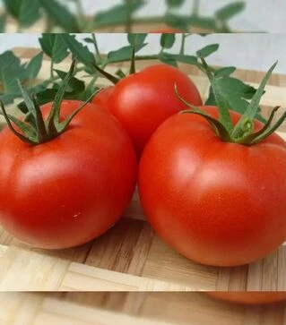 Насіння томату Атерон, п.о. 500 насінин (Moravoseed)