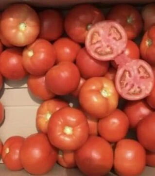 Насіння томату Етерей F1, п.о. 250 насінин (Seminis)