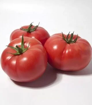 Семена томата КС 1157 F1, п.е. 1 тыс. семян (Kitano Seeds)