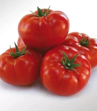 Семена томата КС 206 F1, п.е. 1 тыс. семян (Kitano Seeds)