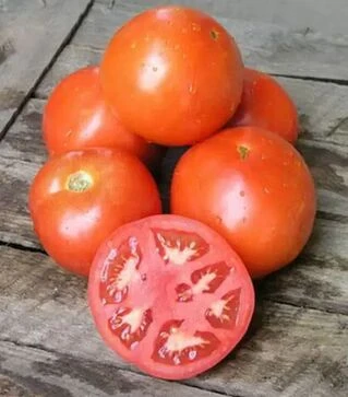 Насіння томату Ламантін F1, п.о. 1 тис. насінин (Nunhems)