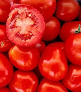 Насіння томату Леонероссо F1, п.о. 25 тис. насінин (Cora Seeds)