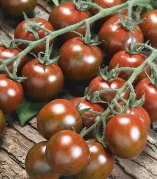 Насіння томату Тигрино F1, п.о. 1 тис. насінин (Semo)