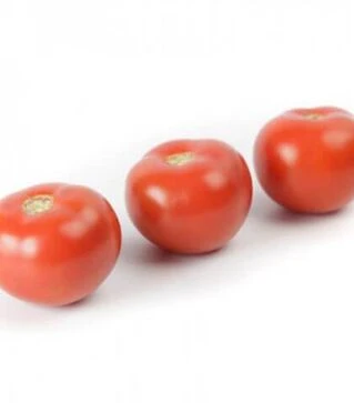 Насіння томату Аламіна F1, п.о. 1 тис. насінин (Rijk Zwaan)